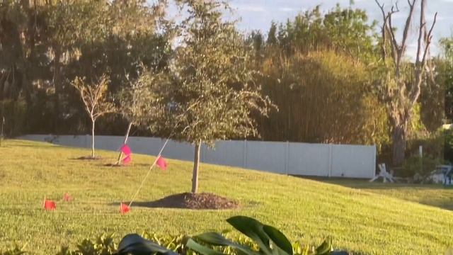 ДОМОХОЗЯЙКА В США ?? Я НА ДИЕТЕ -7 кг ? МУЖУ НЕ ПОМОГАЮ ? МОЯ РАБОТА И ХОББИ ? ВКУСНЫЙ УЖИН . смотреть онлайн