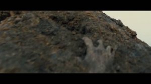 1917 - Обзор фильма