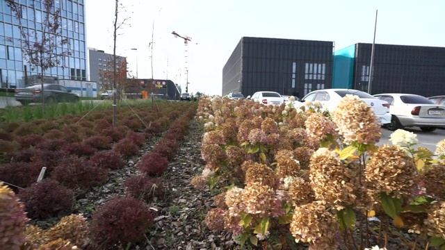 Институт нефтяников в Альметьевске! Круче чем Стэнфорд! смотреть онлайн