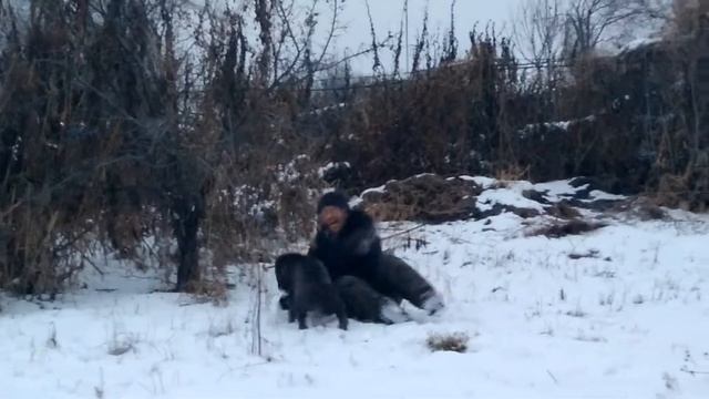 В гости можно? Без приглашения - нет! смотреть онлайн