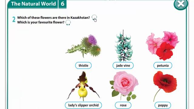 Grade 8 Lesson 59 смотреть онлайн