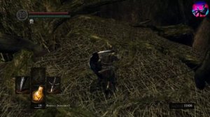 Прохождение Dark Souls Remastered. Серия 27: Озеро Золы