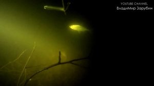 Подводная охота в Ленинградской области