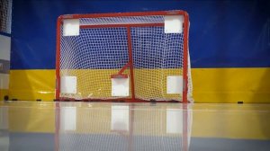 Комплексная тренировочная бросковая хоккейная зона TPS