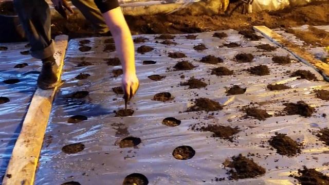 Зимняя теплица. Сеем салаты. смотреть онлайн