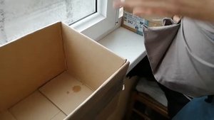 Как зимуют гиацинты, тюльпаны, нарциссы, крокусы, мускари, сциллы (первоцветы) в горшках на балконе