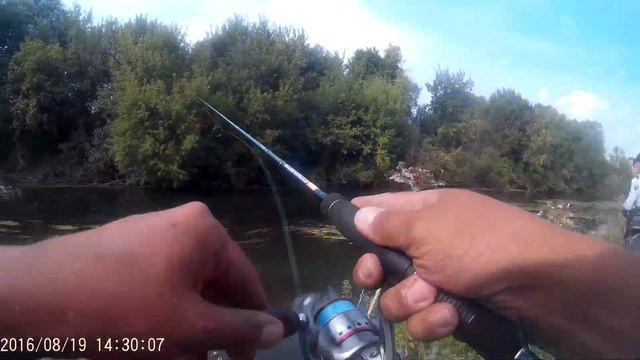 Охота на Голавля смотреть онлайн