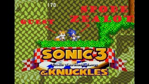 Sonic 3 & Knuckles (Sega) Two Players Walkthrough #2