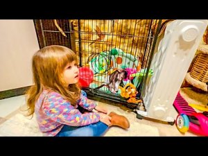 Ангелина с гамадрилёнышем Люсей ЗАМЕЧАТЕЛЬНО ИГРАЮТ!