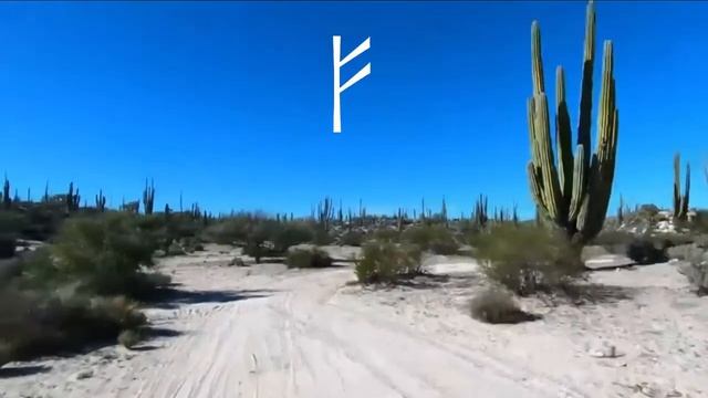 Руна Феху. Описание руны