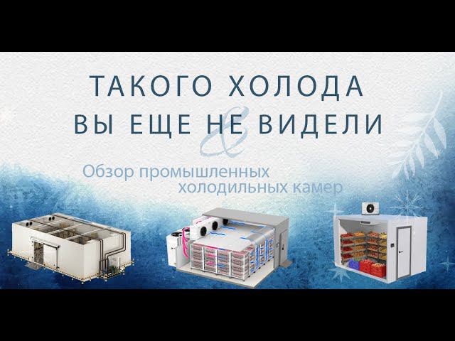 Промышленные холодильные камеры. Полезный обзор холодильного оборудования.