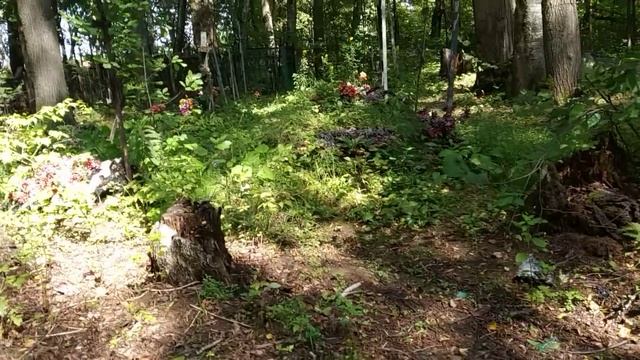 В Подмосковье на кладбище нашли открытый гроб. Сбежал покойник, или зарыли клад?