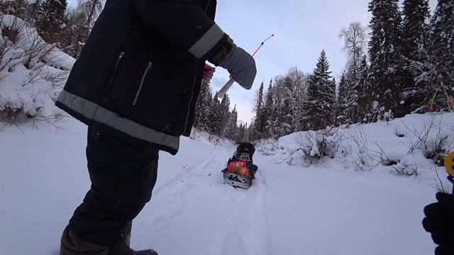 Вечерний клев хариуса. Архангельская область. смотреть онлайн
