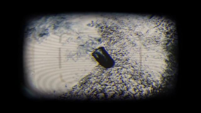 Sylvio 2 Prototype смотреть онлайн