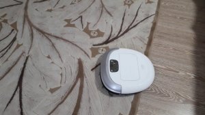 Робот пылесос IClebo Omega