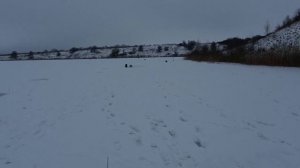 Рыбалка Зима 18.02.24 на платном пруду с.Рыбинские Буды Курской обл. Ловим мирную рыбу.