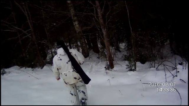 Добыты волки смотреть онлайн