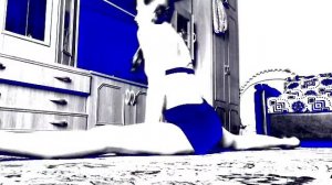 Моя гимнастика 2. Спина, стопы, шпагаты;)