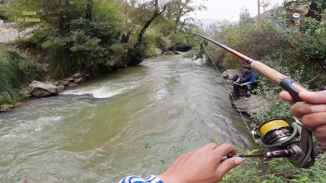 Las truchas que saltan son las mejores. || Watch the trout jump. смотреть онлайн