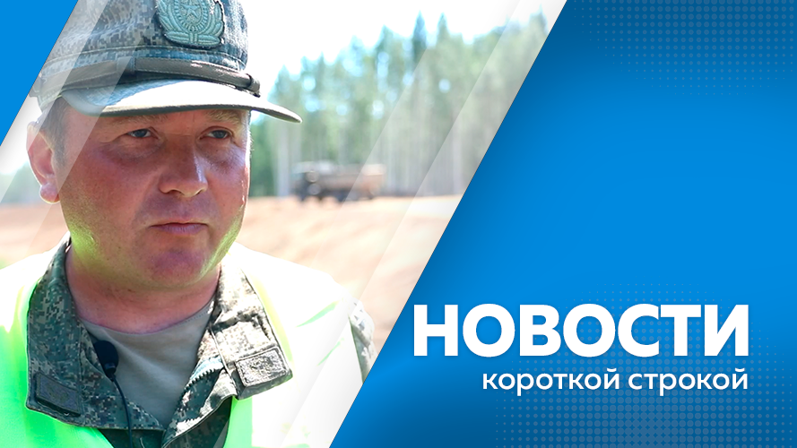 Грибная разведка 2024 год