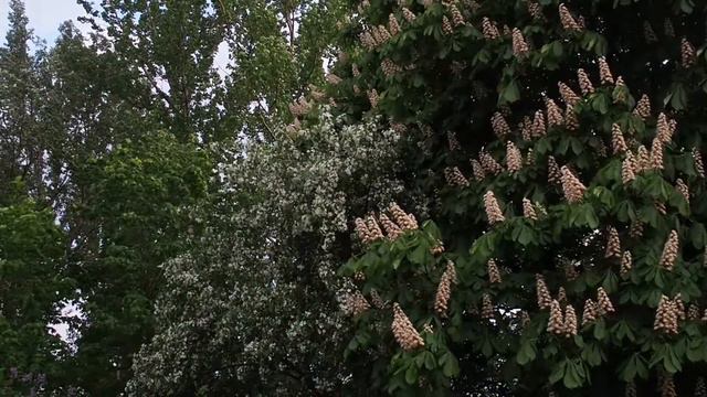 2019 5 май 14 Академики смотреть онлайн