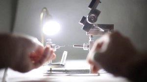 Станок для иструментального осеменения ИО пчелиных маток