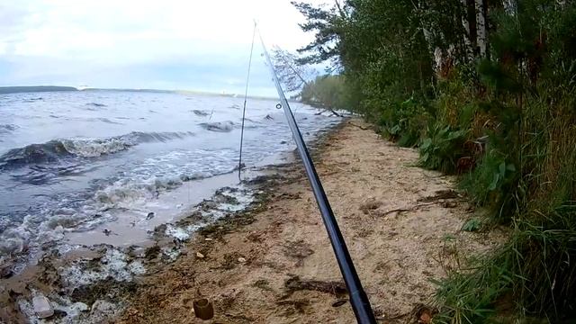 ловля леща. хотели с лодки но пришлось на фидер. Белоярское водохранилище