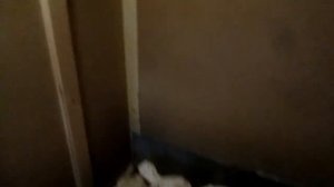 КОЧЕВОЙ ДОМ ПЧЕЛОВОДА...