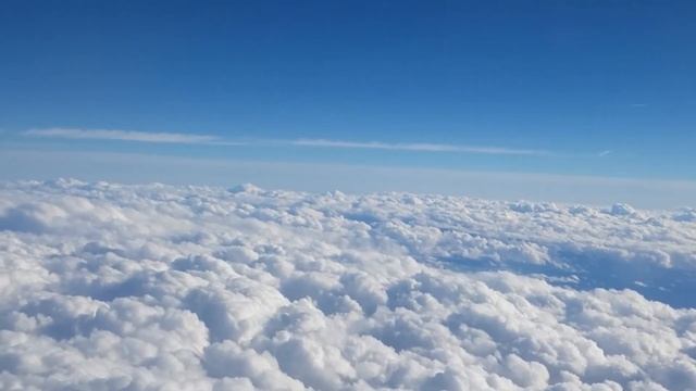 Вам не нужны гуру, учителя и наставники смотреть онлайн