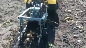 грохотная картофелекопалка с двигателем 6 л. с.