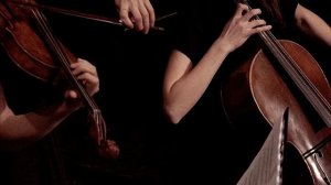 скрипка и виолончель разговаривают друг с другом
