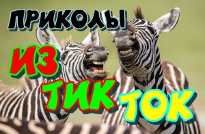 лучшие приколы #5 / приколы тик ток 2022 / нарезка приколов 2022