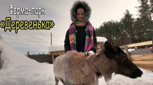 Ферма-парк "Деревенька". Кировская область. г.Слободской #2024 #зима #животные