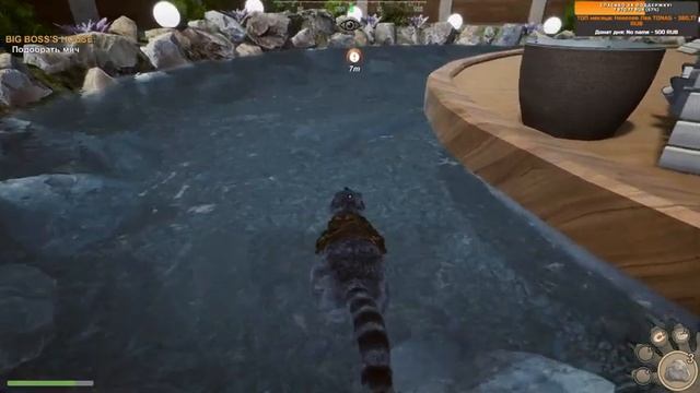 Wanted Raccoon - Симулятор енота - Обзор, первый взгляд (стрим) смотреть онлайн