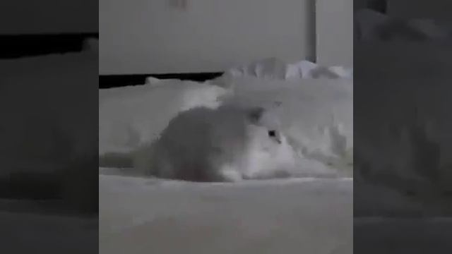 Прикол что делать если потерял телефон! смотреть онлайн