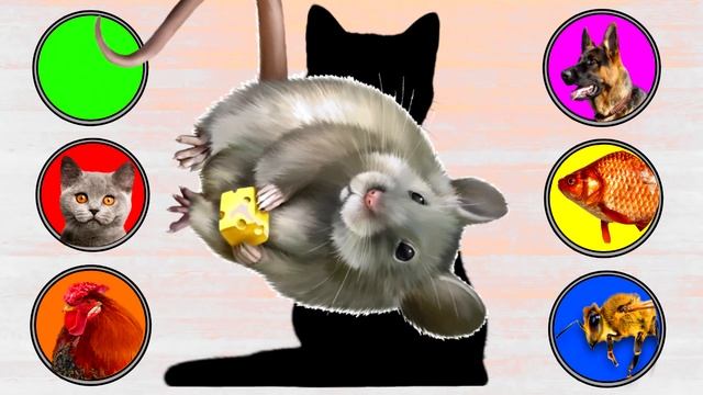 What is this Domestic Animal ❤️ Fish, Turtle, Chicken, Cat, Dog, Bee ❤️ Kid learn Animal смотреть онлайн