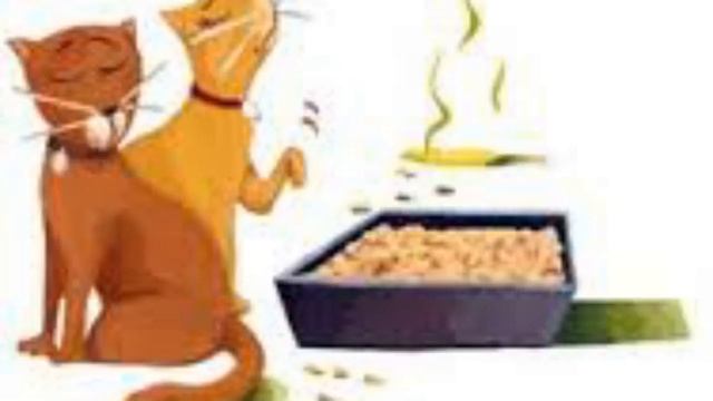 How to Get Rid of the Smell of Cat Urine смотреть онлайн