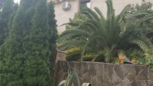 Отель Зорэмма 2*. Территория. Адлер 23.09.22