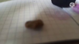 делаю заправу из фукорцина и ..........)