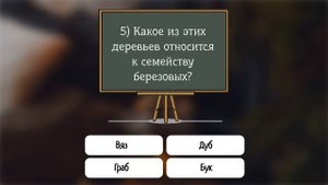 Тест на эрудицию и общие знания: "Богатый знаниями" - вопросы всё обо всё