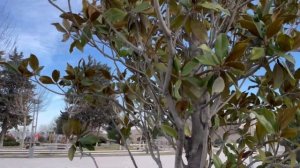 Прогулка по Баку. Февраль 2023. Остров Наргин |Набережный Бульвар | Парк Ходжалы. Baku Walking.