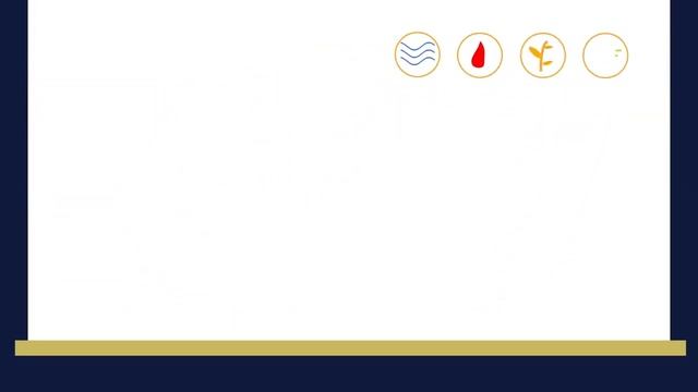 ЕСТЕСТВОЗНАНИЕ 5 КЛАСС ПЛАНИРОВАНИЕ ИССЛЕДОВАНИЯ смотреть онлайн