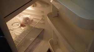 Отель JAZ FANARA RESORT & RESIDENCE 4*  Фемели рум( семейный номер) .Шарм эль Шейх.11.11.17 г.