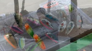 Колеблющиеся Блесны Убийцы Щуки, Голавля, Жереха. Ловля Спиннингом на Колебалку