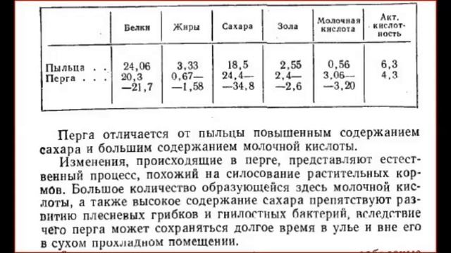 Пыльца собранная пчелами: перга и обножка какой продукт полезнее?