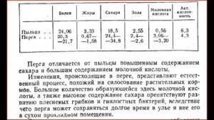 Пыльца собранная пчелами: перга и обножка какой продукт полезнее?