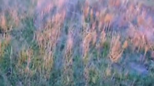 почистить сеть