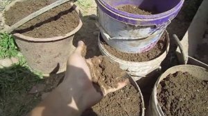 2016 год Растворомешалка кратко Опилкобетон Глинопил