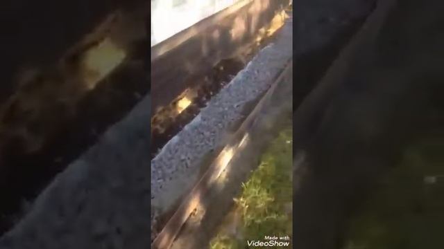 Полимерпесчаная плитка, отмостка.