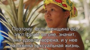 К чему снится Банан? Толкование сна по сонникам Фрейда и Ванги